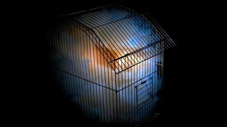 Η έκθεση &quot;Κυκλαδικά Στιγμιότυπα&quot; στη Νάξο