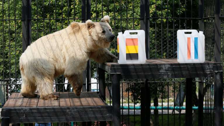 Ευρωπαϊκή υπόθεση πλέον τα Μουντιάλ;