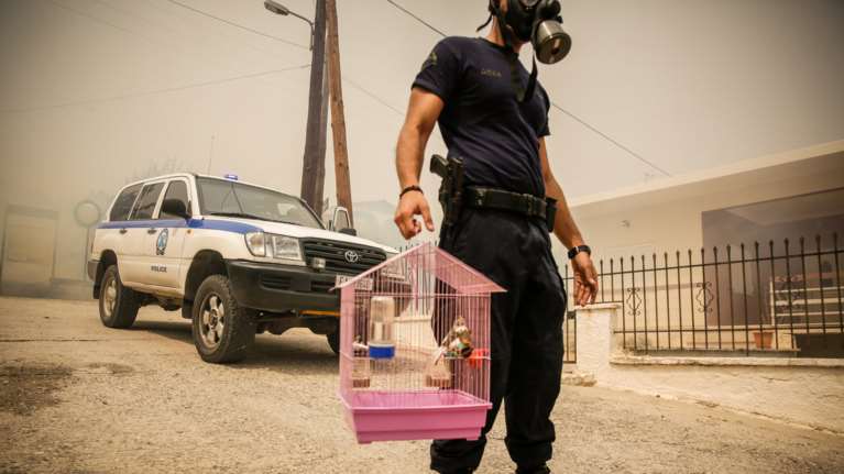 Πυρκαγιά στην Κινέτα: Η ανθρωπιά σε 3 συγκλονιστικές εικόνες