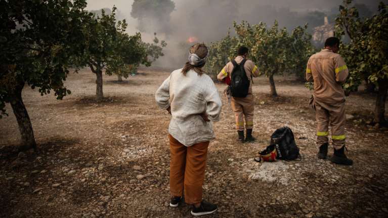 Αλεξανδρούπολη: Σε εξέλιξη πυρκαγιά σε πευκοδάσος στην περιοχή της Λευκίμης