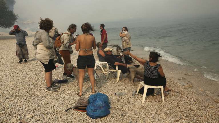 Βρήκαν καταφύγιο στην παραλία της Κινέτας