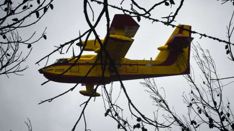 Πρόεδρος πυροσβεστών: Ο Τόσκας έπρεπε να λέει κάθε 5 λεπτά συγγνώμη