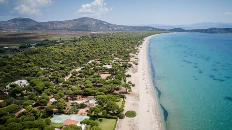 Παράταση στην ανάρτηση των δασικών χαρτών