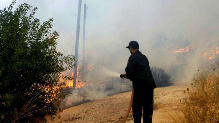 Ζάκυνθος: Υπό μερικό έλεγχο η πυρκαγιά στο Καλαμάκι