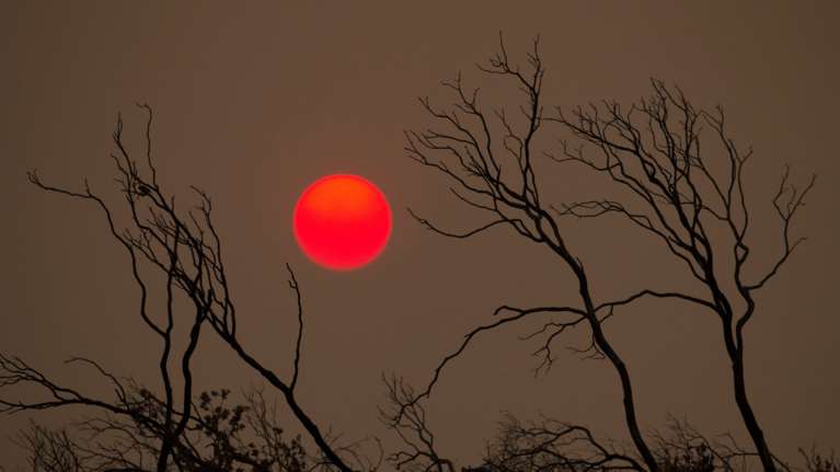 Καλιφόρνια: Τουλάχιστον 16 αγνοούμενοι από τις φονικές πυρκαγιές