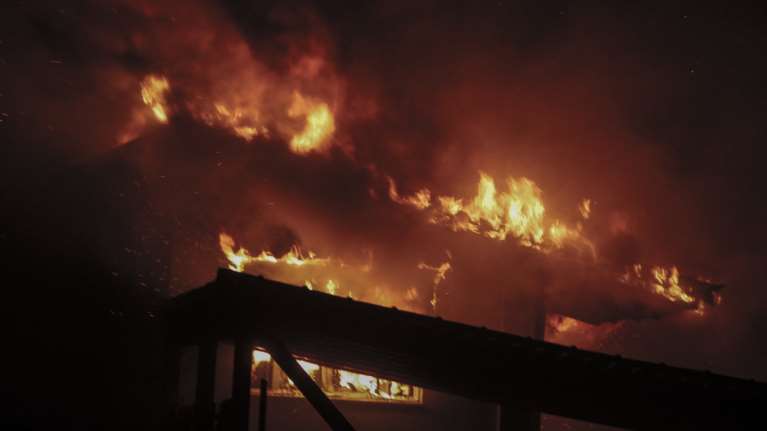 Νέα μαρτυρία: Τα κουκουνάρια έπεφταν πάνω μας σαν πυροτεχνήματα