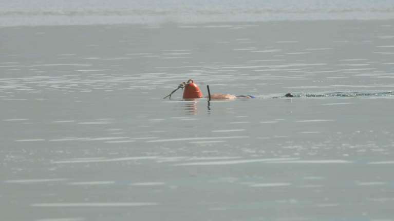 Νεκρός 44χρονος στη Σαλαμίνα - τον ακρωτηρίασε ταχύπλοο