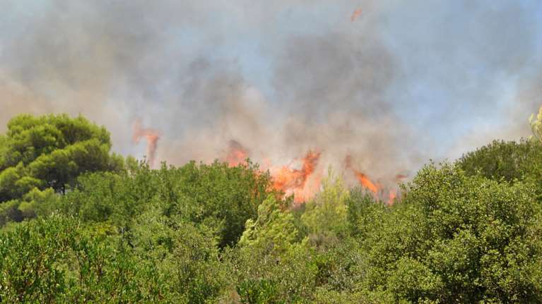 Νέα φωτιά στη νότια Ζάκυνθο, πάλι στη Λιθακιά