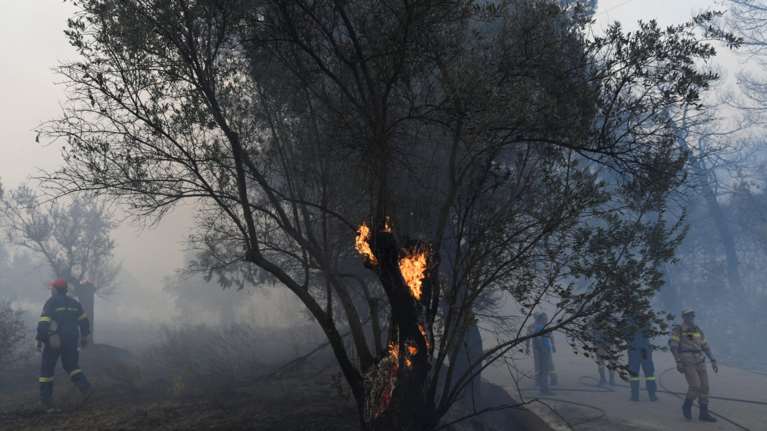 Δύο τα μέτωπα της φωτιάς στην Εύβοια-επιχειρούν εναέρια μέσα