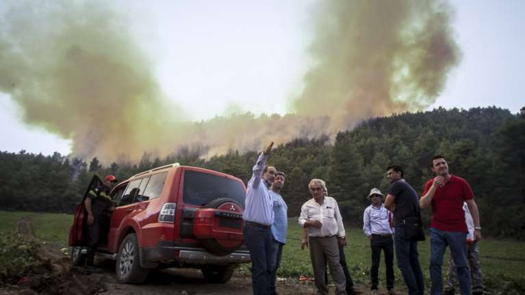 Σε ύφεση η φωτιά στην Δαφνιώτισσα Ηλείας