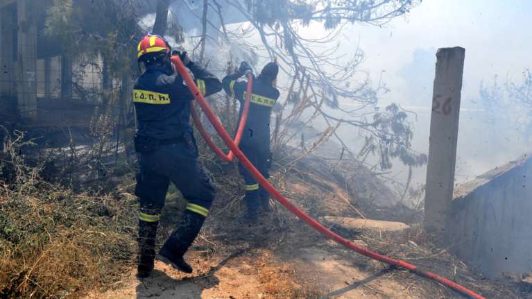Σε ύφεση η πυρκαγιά στις Ροβιές Ευβοίας