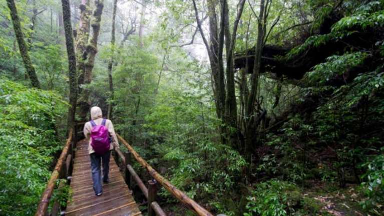 Η κλιματική αλλαγή θα μεταμορφώσει το οικοσύστημα