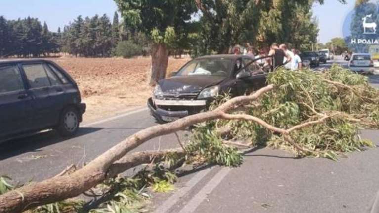 Ρόδος: Τεράστιο κλαδί «προσγειώθηκε» σε ΙΧ
