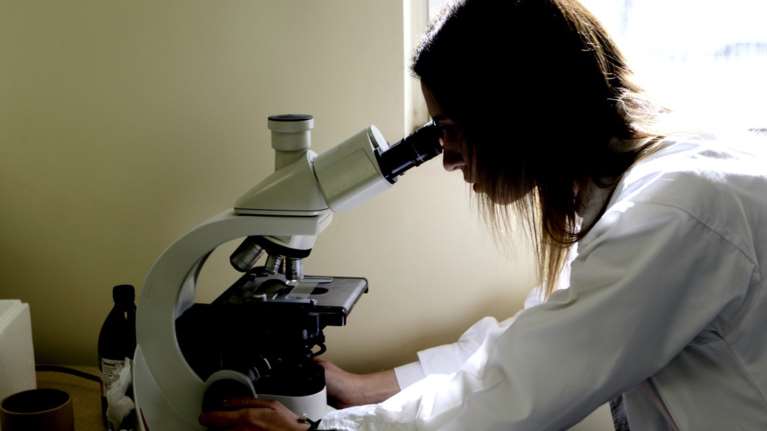 Θεσσαλονίκη: Έξι νεκροί από τον ιό του Δυτικού Νείλου-60 κρούσματα