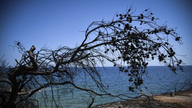 Δημόκριτος για μετρήσεις στο Μάτι: Αυξημένα επίπεδα αλλά...