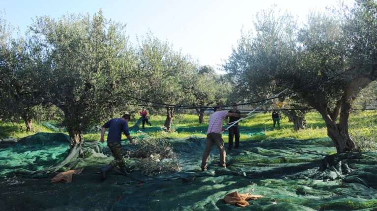 “Στο πυρ το εξώτερον” Τούρκος υπουργός, γιατί… του αρέσει το κρητικό λάδι