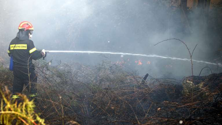 Φωτιά στην περιοχή Σπιάτζα του Πύργου Ηλείας