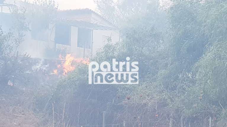 Ηλεία: Οριοθετήθηκε η πυρκαγιά - Μικρές ζημιές