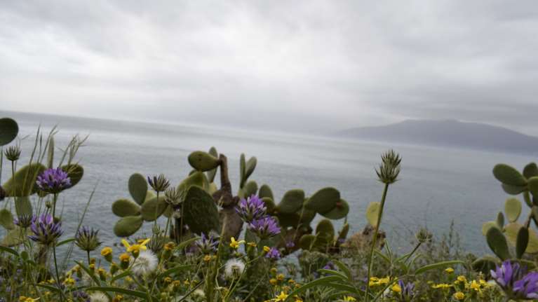 Ανοιξιάτικος ο καιρός και τη Δευτέρα