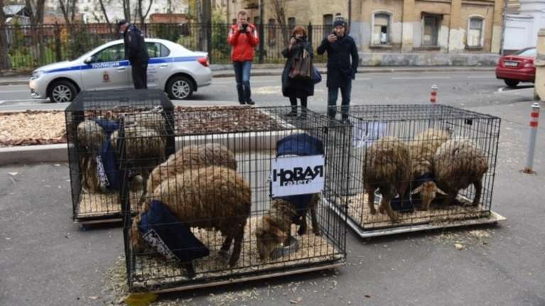 Κλουβιά με πρόβατα έξω από τα γραφεία της εφημερίδας Novaya Gazeta