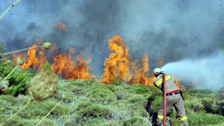 Φωτιά στη Σάρτη: Επτά χιλιάδες στρέμματα η καμμένη έκταση