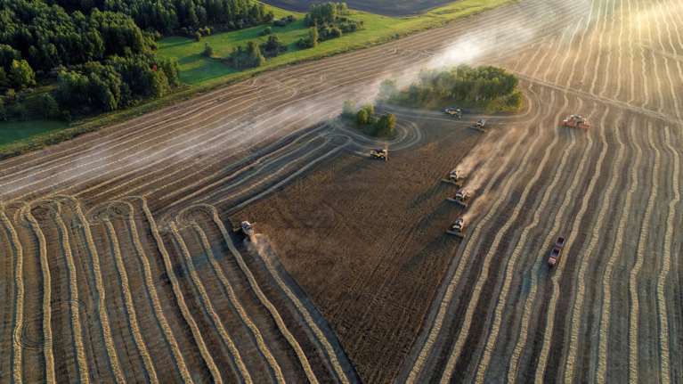 Ερευνα στη Γαλλία  για μωρά που γεννήθηκαν χωρίς χέρια