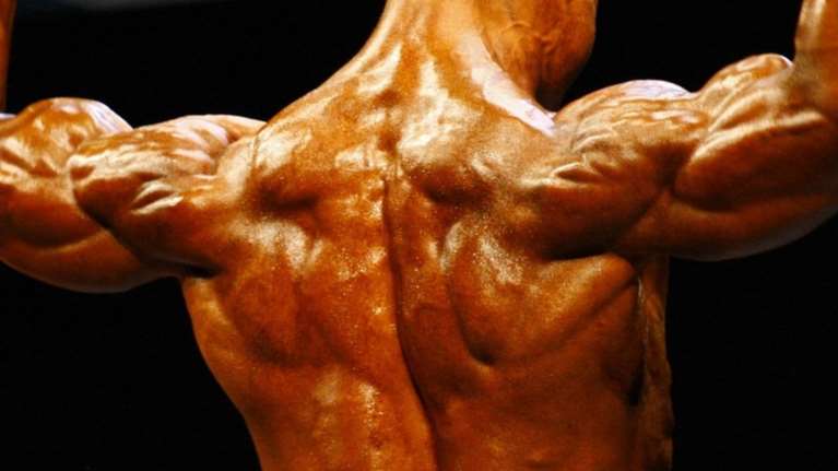 To κύκλωμα των αναβολικών και ο πρόεδρος ομοσπονδίας του body building