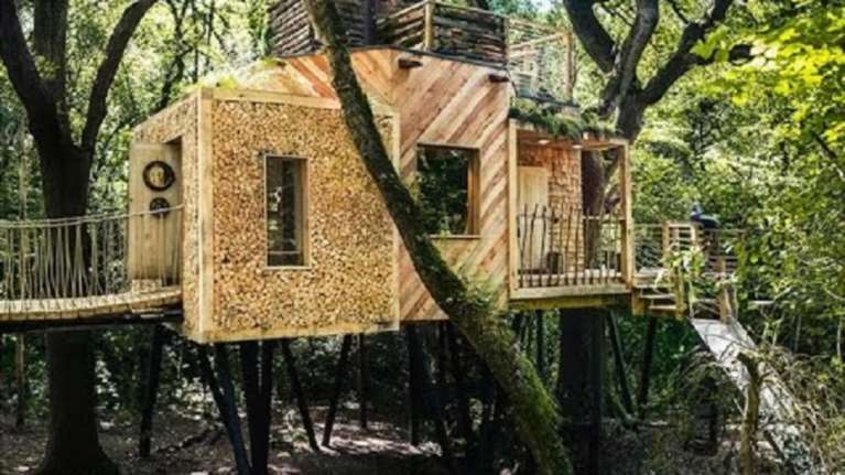 Το δεντρόσπιτο του δασανθρώπου στο Ντόρσετ της Αγγλίας (φωτό)