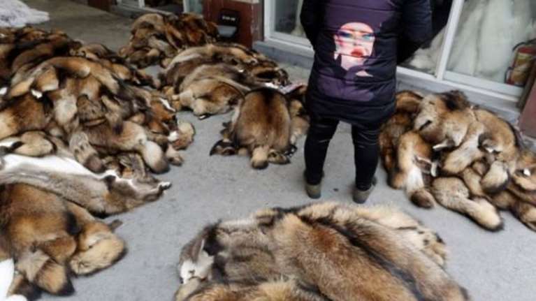 Ισχυρό μήνυμα από τον Ζαν-Πολ  Γκοτιέ να εγκαταλείψει τη γούνα