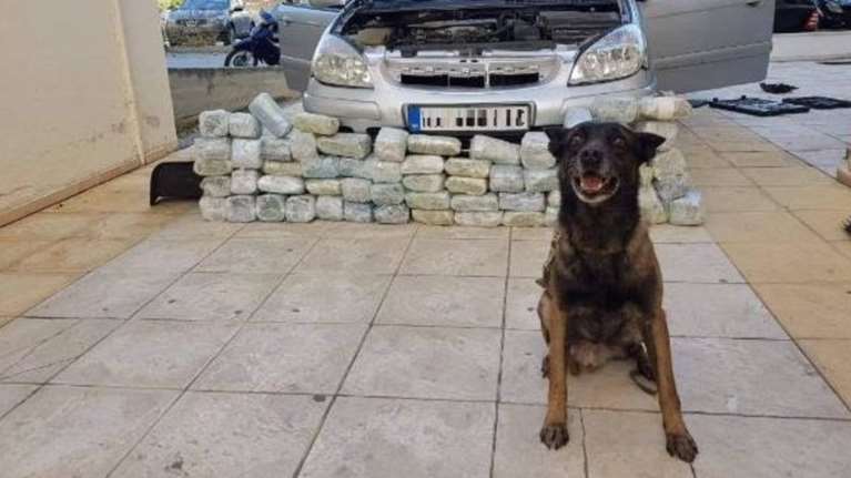 Ο «Χάνι» έπιασε 32 κιλά κάνναβη στο τελωνείο Ευζώνων