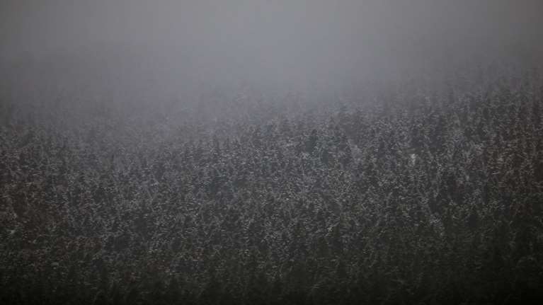 Παραμυθένιες εικόνες από το χιονισμένο Μαίναλο - Εικόνες