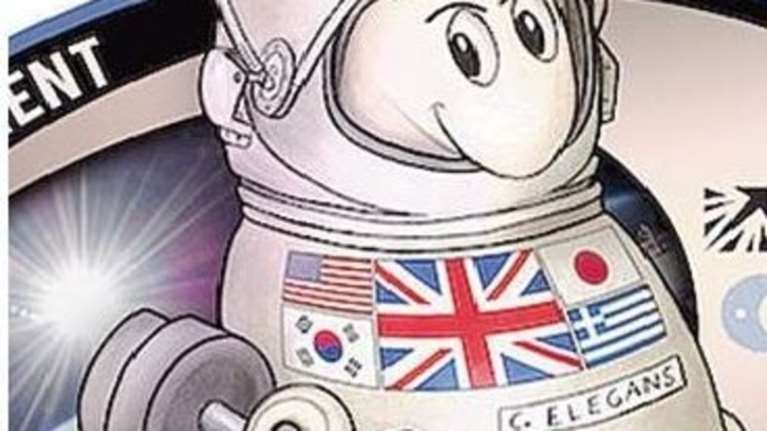 Η ελληνική ερευνητική κοινότητα «εκτοξεύεται» στο Διάστημα