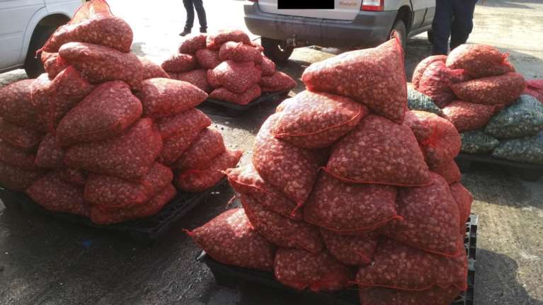 Κατάσχεση οστράκων ακατάλληλων στην Καβάλα και συλλήψεις - ΕΙΚΟΝΕΣ