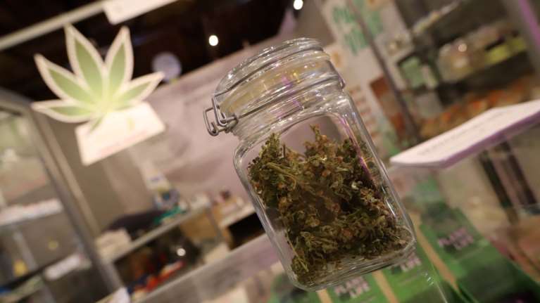 Φαρμακευτική κάνναβη: Δυο νέες επενδύσεις στον Αναπτυξιακό