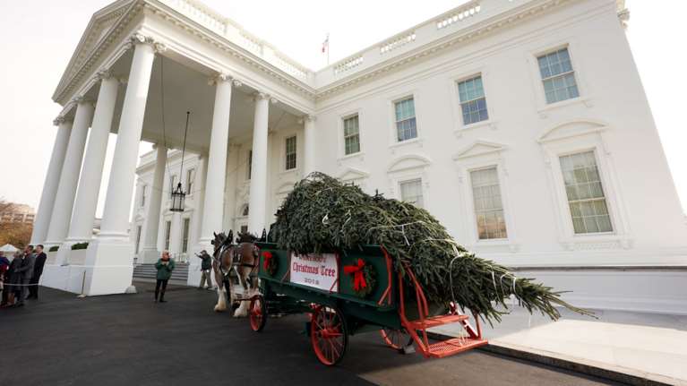 Το Χριστουγεννιάτικο δέντρο έφτασε στον Λευκό Οίκο