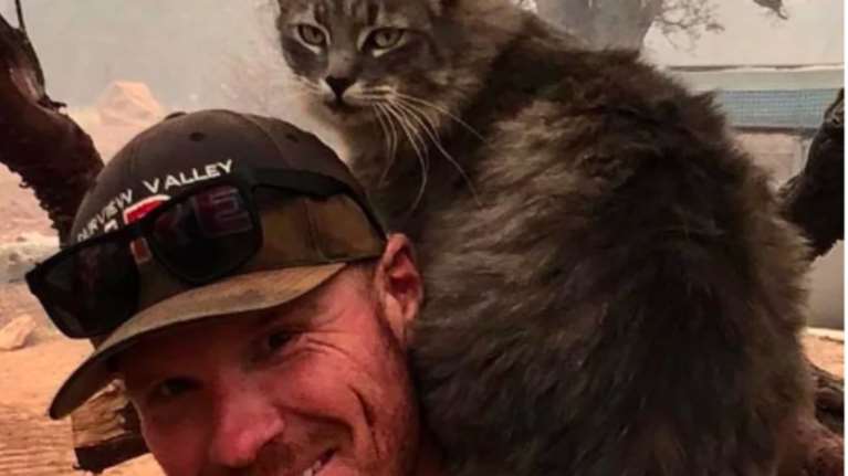Καλιφόρνια: Πυροσβέστης έσωσε γάτα από τις φλόγες - Η υπέροχη αντίδρασή της