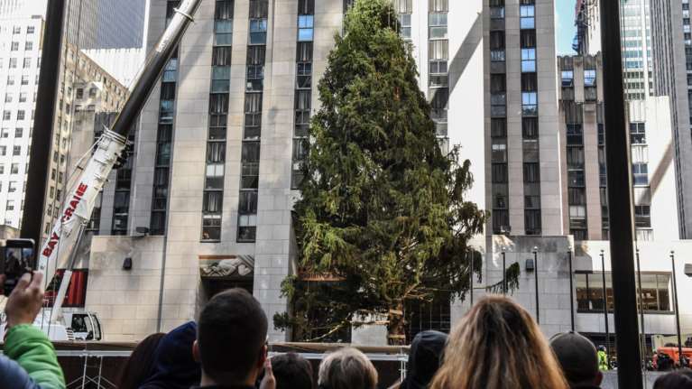 Το πιο εντυπωσιακό χριστουγεννιάτικο δέντρο του κόσμου είναι έτοιμο
