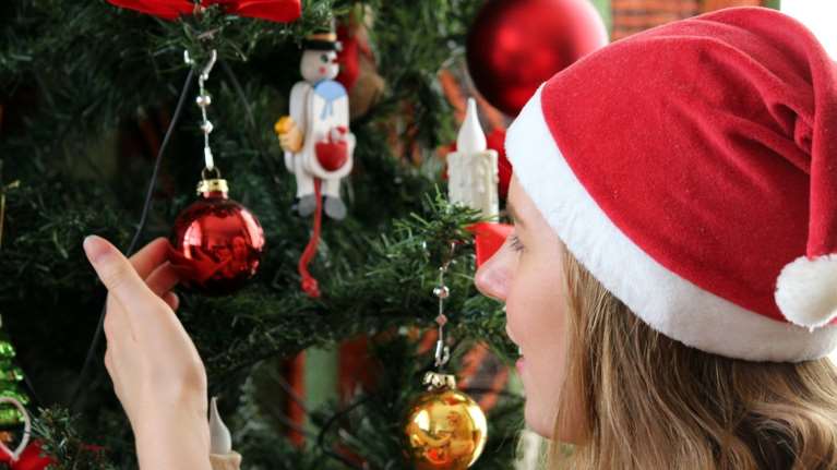 Ποιο είναι το αληθινά οικολογικό Χριστουγεννιάτικο δέντρο; Μύθοι &amp; αλήθειες