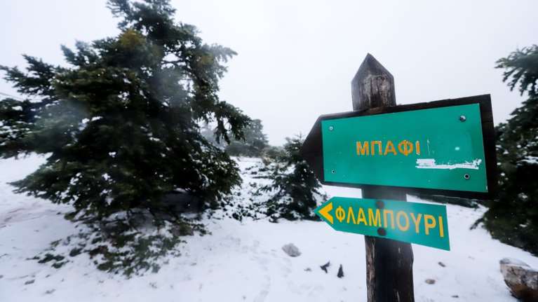 Λευκό τοπίο η Πάρνηθα - Τα πρώτα χιόνια