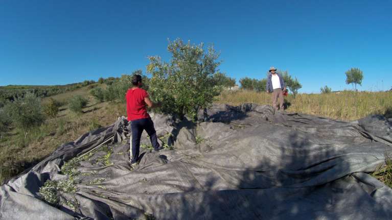 Βουλή: Στην τελική ευθεία το ν/σ για τον θεματικό τουρισμό