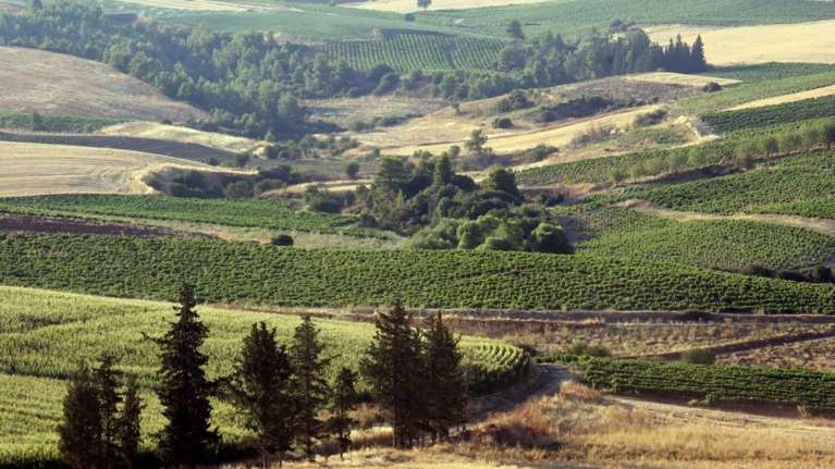 Κτηματολόγιο: Οσα δεν δηλωθούν θα καταλήξουν στο Δημόσιο