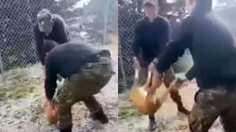 Ενοχοι οι φαντάροι που είχαν πετάξει ζωντανό σκύλο σε γκρεμό στην Κόνιτσα