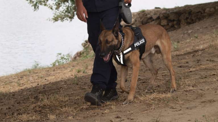 Θρίλερ στις Σέρρες: Βρέθηκε ανθρώπινο κρανίο, οστά και ρούχα