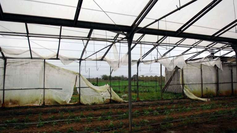 Νέα κλοπή σε θερμοκήπιο: Ενας τόνος κηπευτικών έκανε «φτερά»