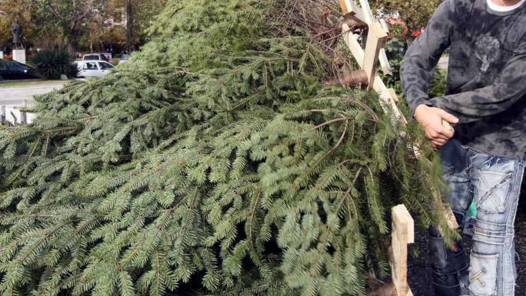Θεσσαλονίκη: Κανένα Χριστουγεννιάτικο Δέντρο σε ΧΥΤΑ