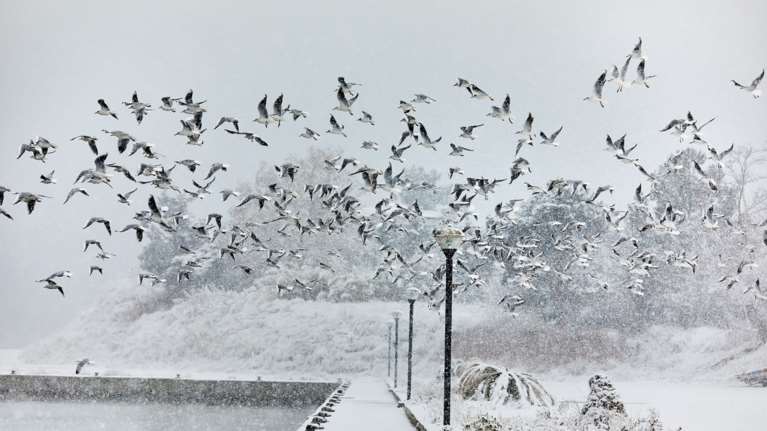 Σε κατάσταση έκτακτης ανάγκης αρκετοί δήμοι - Στα λευκά η χώρα