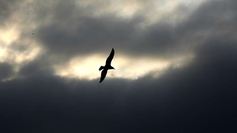 Θεοφάνεια με συννεφιά και τσουχτερό κρύο