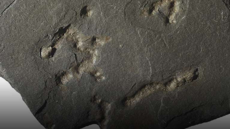 Ανακαλύφθηκαν απολιθώματα ηλικίας 2,1 δισεκατομμυρίων  ετών