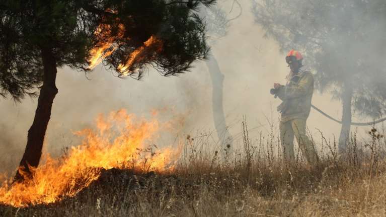 Τρίκαλα: Συνελήφθη ηλικιωμένη για την πυρκαγιά στις Λογγιές