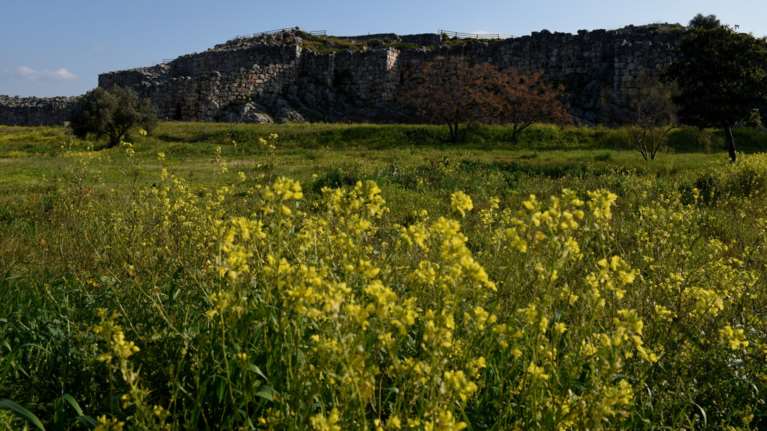 Αίθριος καιρός και άνοδο της θερμοκρασίας σε όλη τη χώρα
